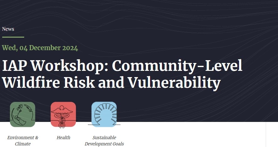 Workshop on the Impact of Wildfires on the Built Environment