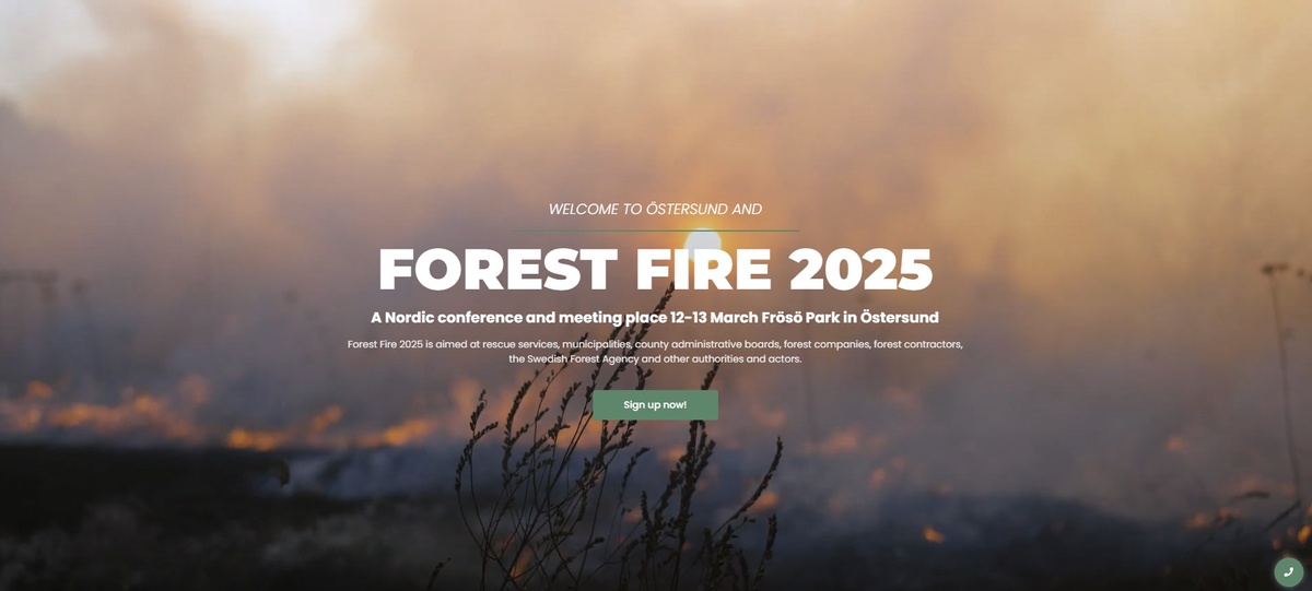 Forest Fire 2025