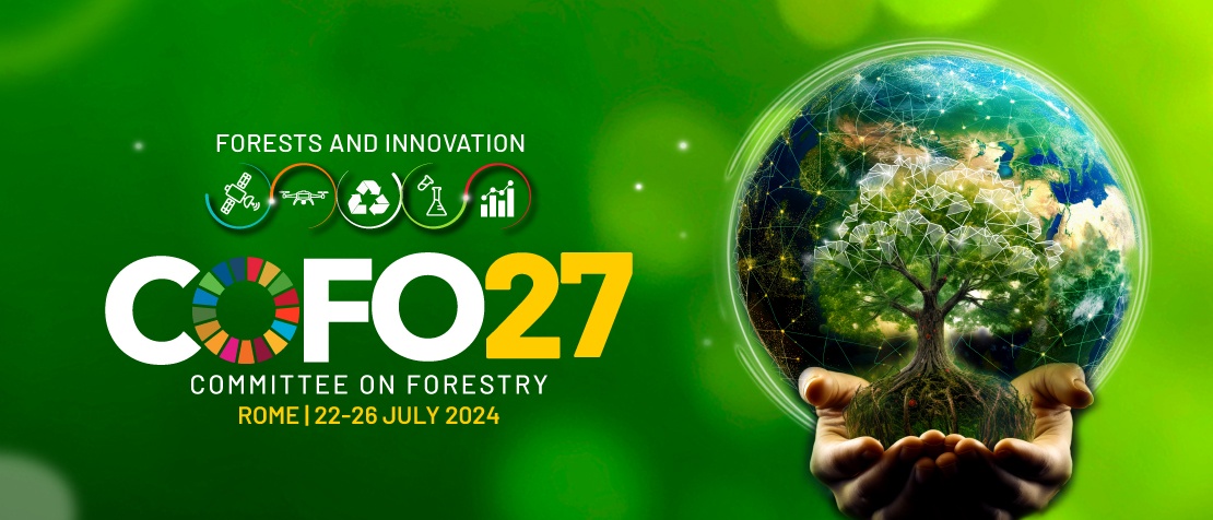 Committee on Forestry (COFO27)